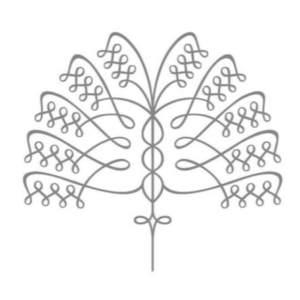 whatsapp image 2026 01 28 at 1.20.15 am (1) modified